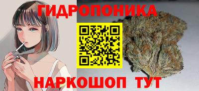 мдпв Ярцево