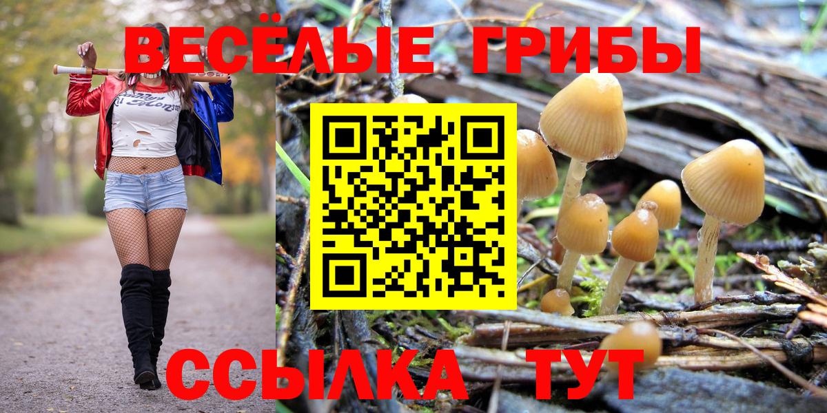 Псилоцибиновые грибы MAGIC MUSHROOMS  Вход с VPN  Выборг 