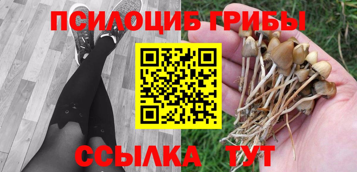 Галлюциногенные грибы Magic Shrooms Выборг