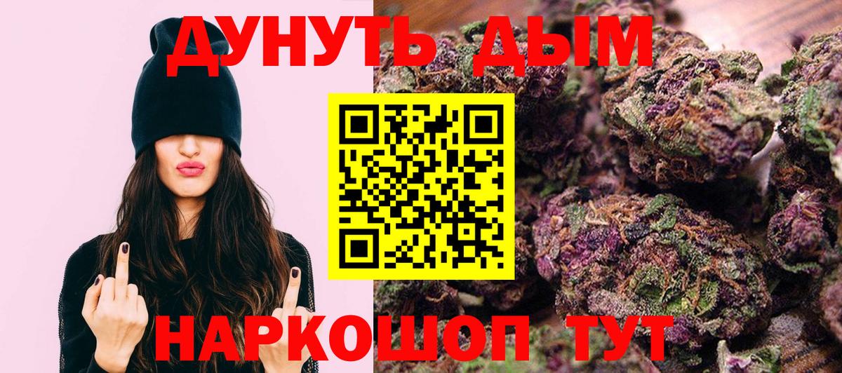 Каннабис OG Kush  Вход с VPN  Выборг  Бошки Шишки план  Бошки Шишки планчик 